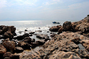 �����ϵĽ�ʯ