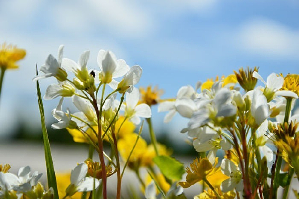 �������