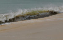 ������˻�