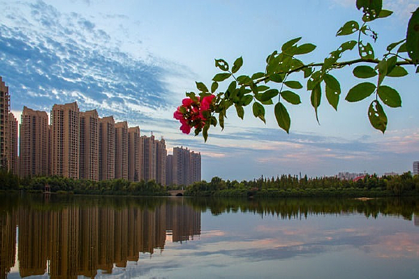 �����Ϻ�