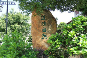 ������Ȼ