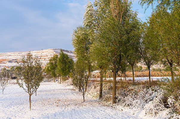 �����ũ��