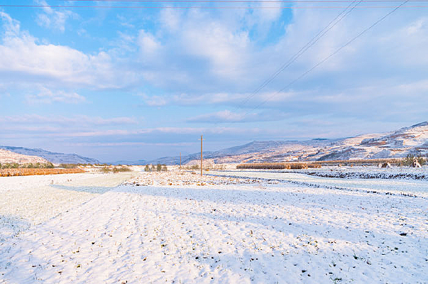 ������Ұ