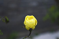 ���¼�����