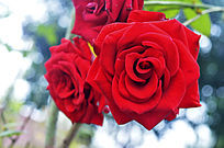 �����¼���