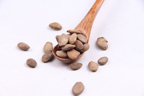 ��¥����ҩ