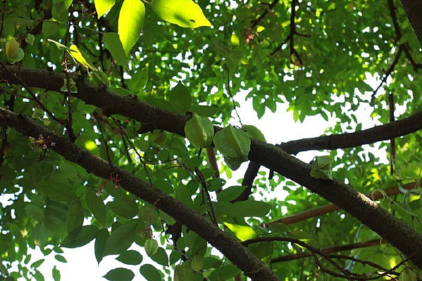 ���ϵ�����