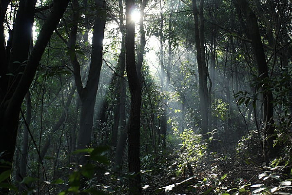 ͸�������