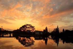 ������ϼ��ɫ