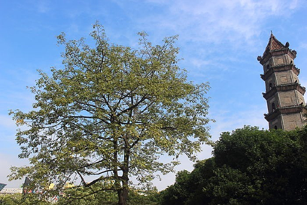 �����µ�������