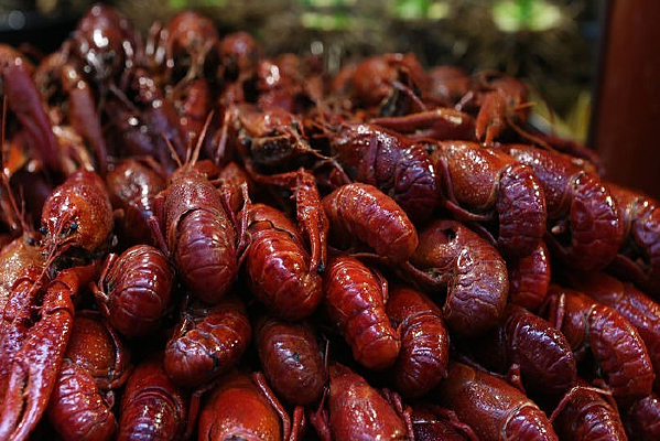 ����С��Ϻ