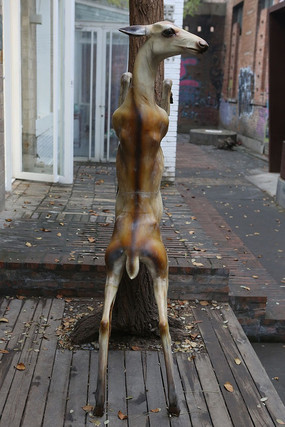 ǰ֫�������ϵ�С¹����