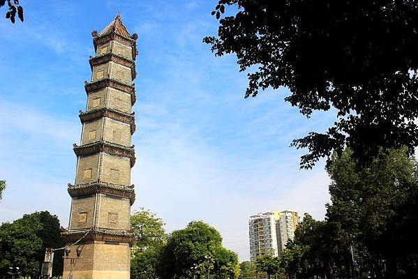 ���µ��¹ۿ�����