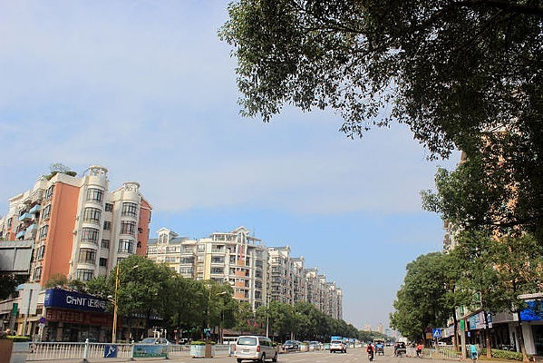 �����µ���·