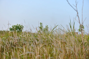 Ϧ��ʱ�ֵ�����