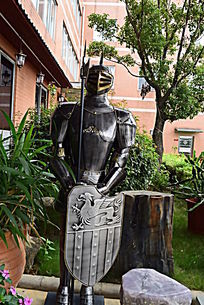 ���Ŷ���