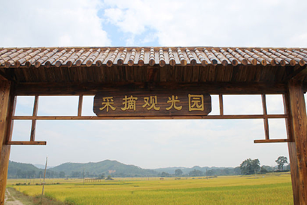 ��Ӳӵ�ˮ����