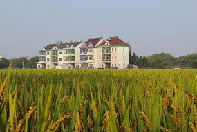 �������˼�