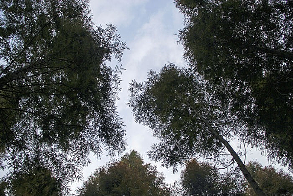 ������ï�ܵ������