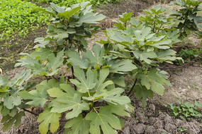 ����е��޻���