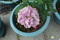 һ�����ɫ���¼���