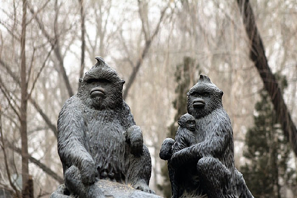 ����԰��ڵ�