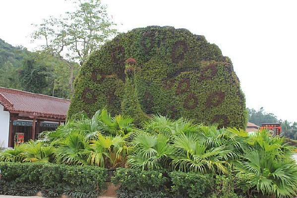 ��ȸ����