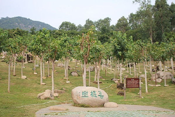 ���ϱ�ɽ�ٹȵ���������