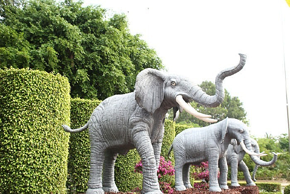 ��������԰����Ĵ�����