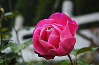 �������¼�