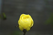 ���¼����Ƕ�