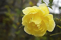 �ۻƵ��¼���