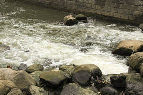 Զ���ļ���