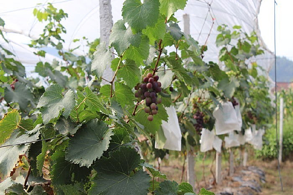 �����е�����