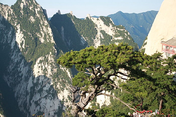 ��ɽӭ����