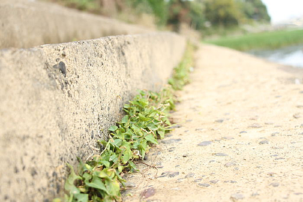 ¥���ϵ��Ӳ�