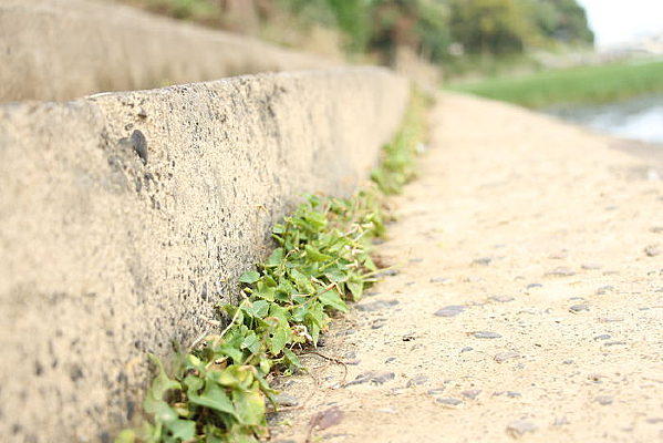 ������Ϣ���Ӳ�