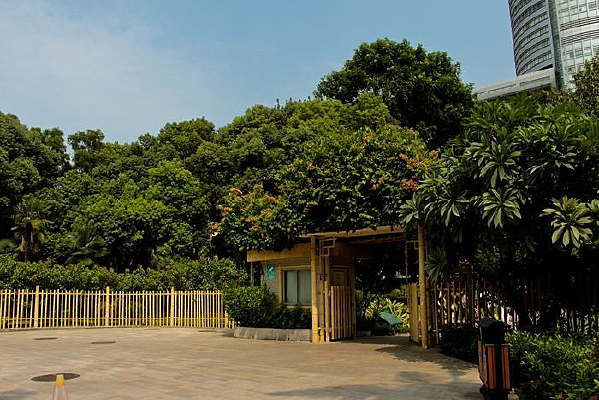 ��������Է