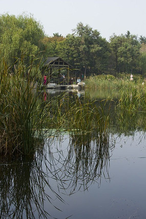 ��ɫС�ݷ���