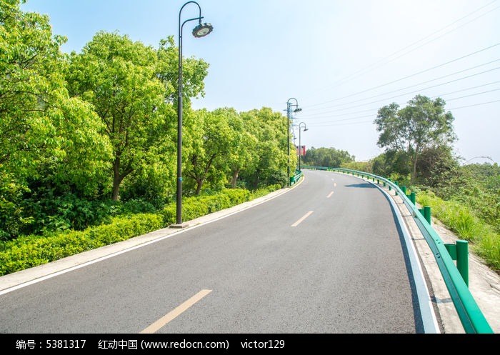 绿荫道路高清图片下载_红动中国