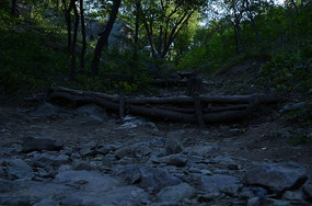 ɽ�ϵ�й��ˮ��