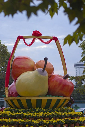 ˮ������ͼƬ