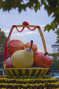 ˮ������ͼƬ