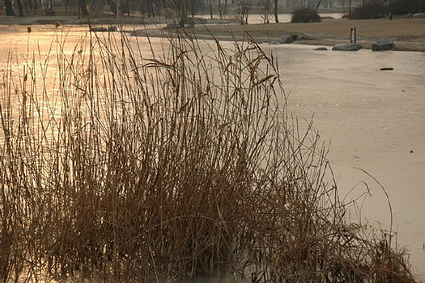 �������