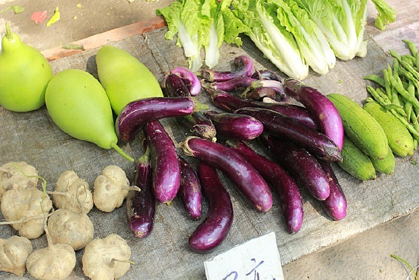 ��̯�ϵ��߲�