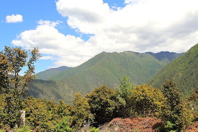 ����µ�ɽ��