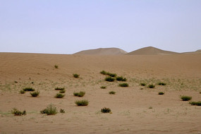 ɳĮ�е��̲�