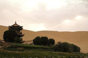 ɳĮ�е�����