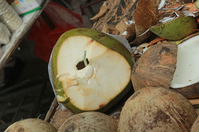 Ҭ������