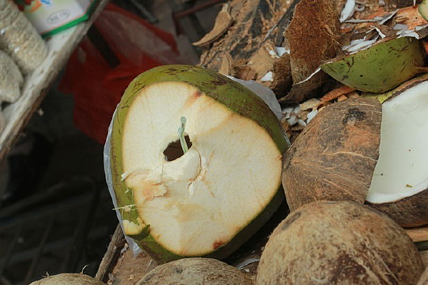 Ҭ������